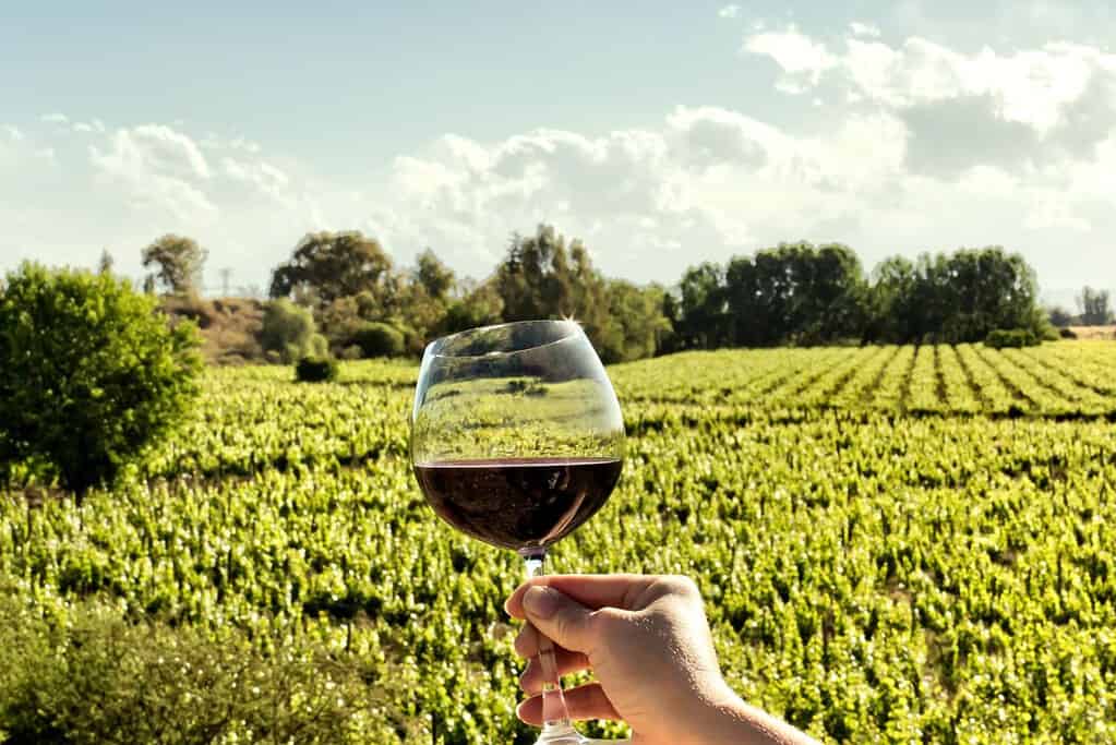 Mendoza Wine Region Argentina 2 Attractions Mendoza Wine Region - Argentina