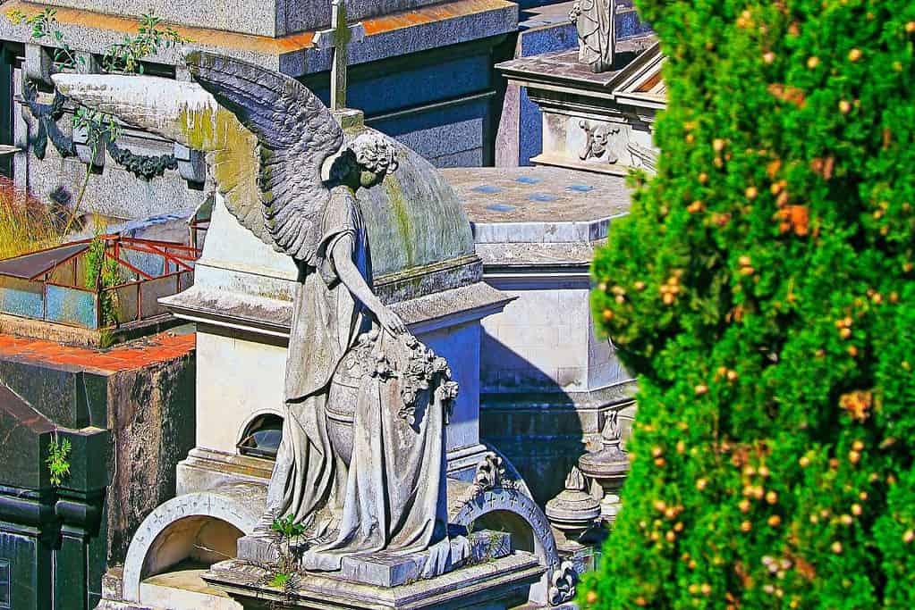 Recoleta Cemetery 4 Attractions Recoleta Cemetery