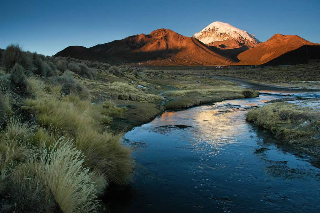 Sajama National Park 10 Attractions Sajama National Park
