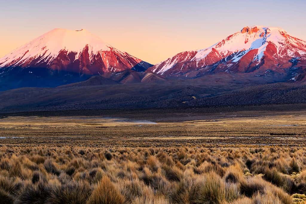 Sajama National Park 3 Attractions Visit Sajama National Park