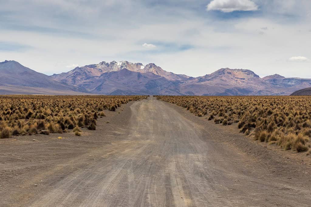 Sajama National Park 4 Attractions Visit Sajama National Park