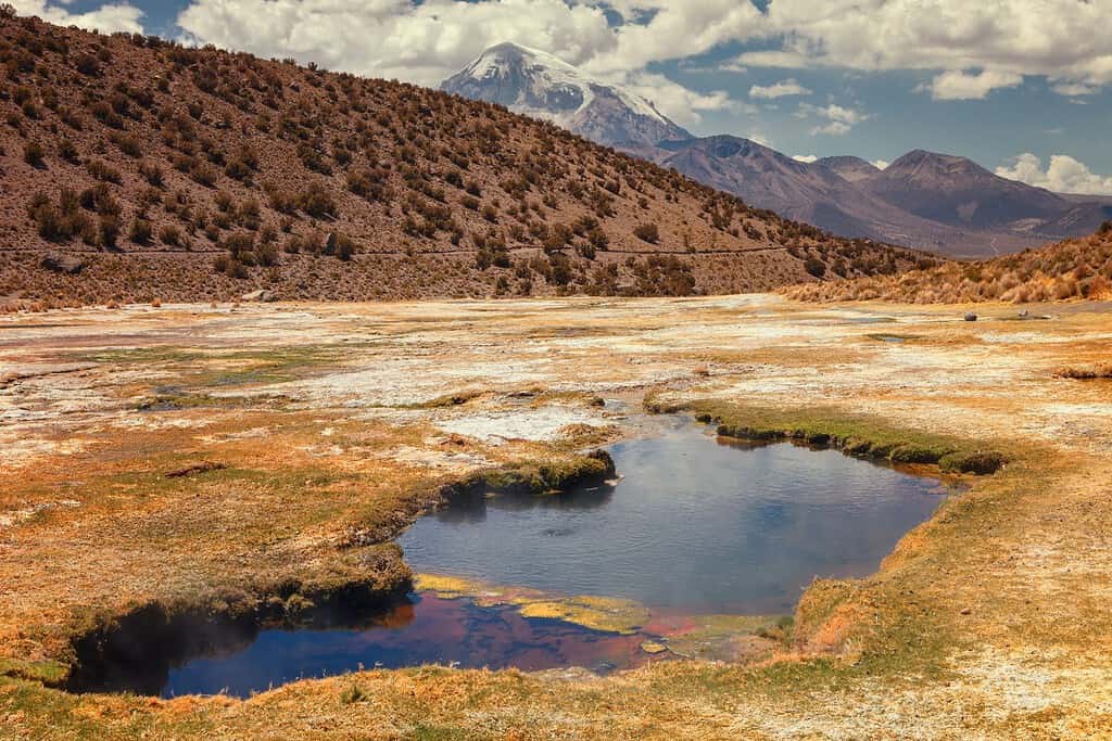 Sajama National Park 7 Attractions Sajama National Park