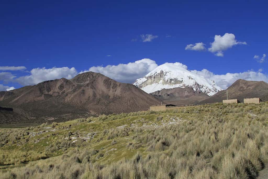 Sajama National Park 9 Attractions Sajama National Park