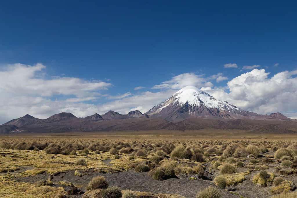 Sajama National Park Bolivia Attractions Sajama National Park Bolivia