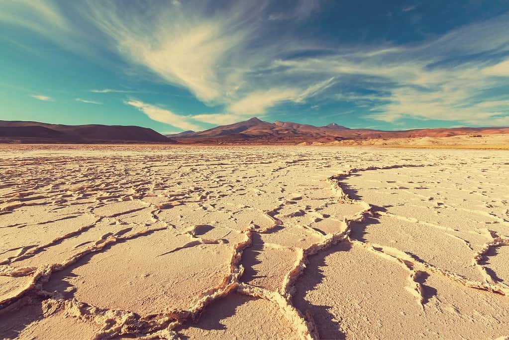 Salinas Grandes 4 Attractions Salinas Grandes