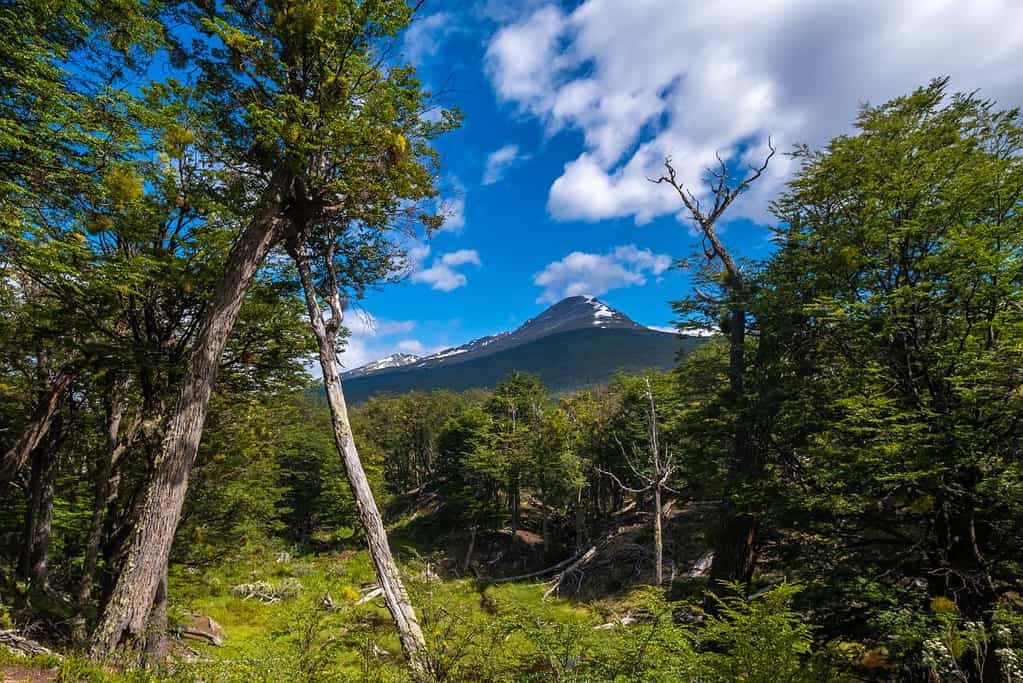 Tierra del Fuego National Park 8 Attractions Tierra del Fuego National Park