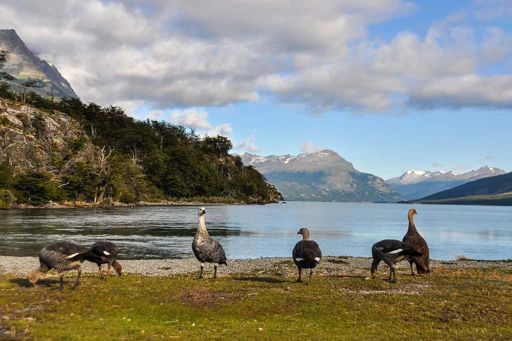 Tierra del Fuego National Park Argentina Attractions Tierra del Fuego National Park