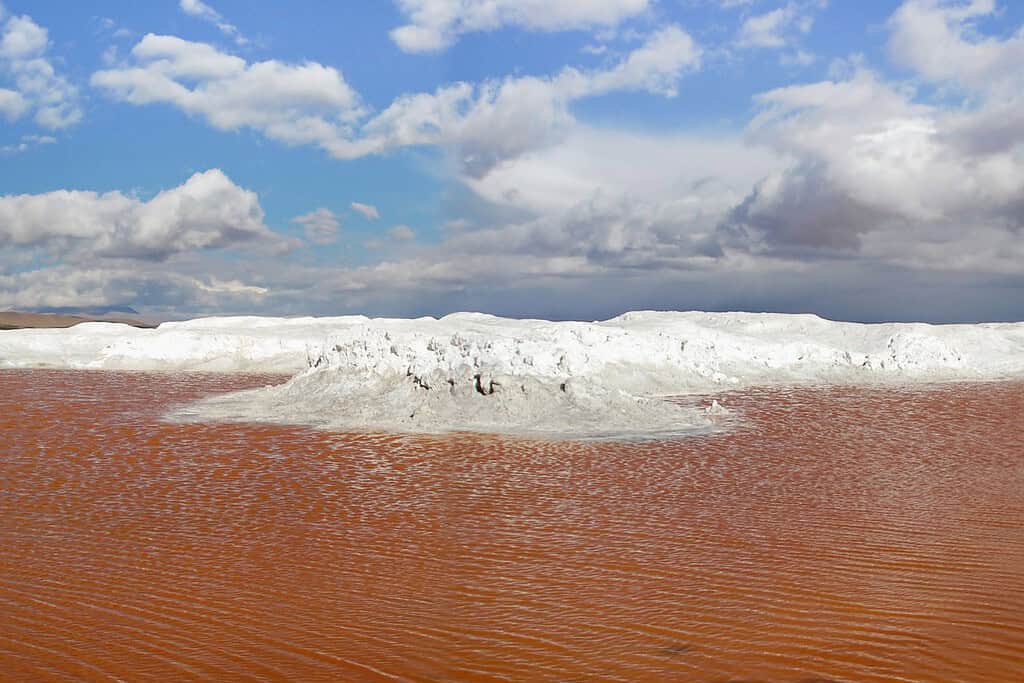 Travel to Laguna Colorada Attractions Laguna Colorada