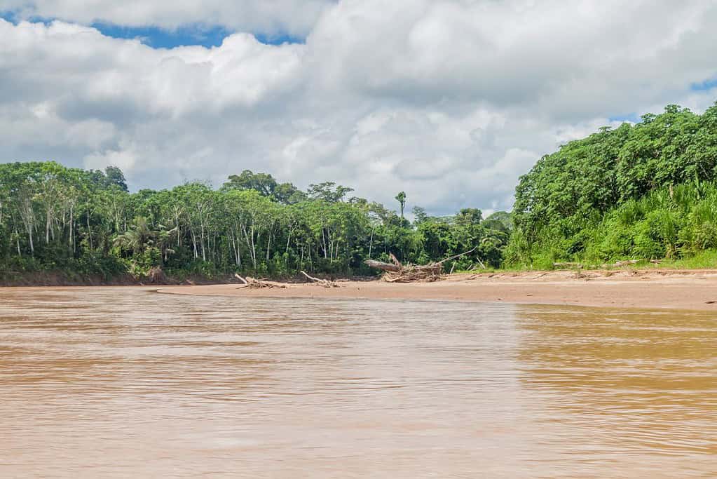Travel to Madidi National Park Attractions Travel to Madidi National Park