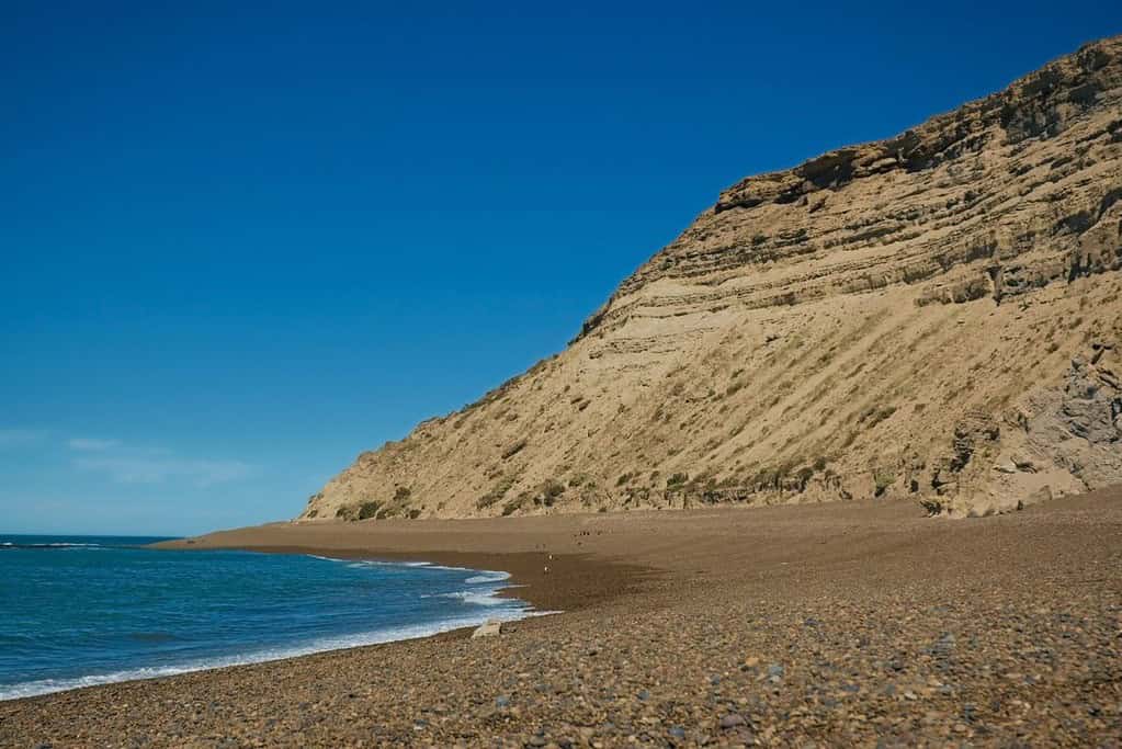 Valdes Peninsula 2 Attractions Valdés Peninsula