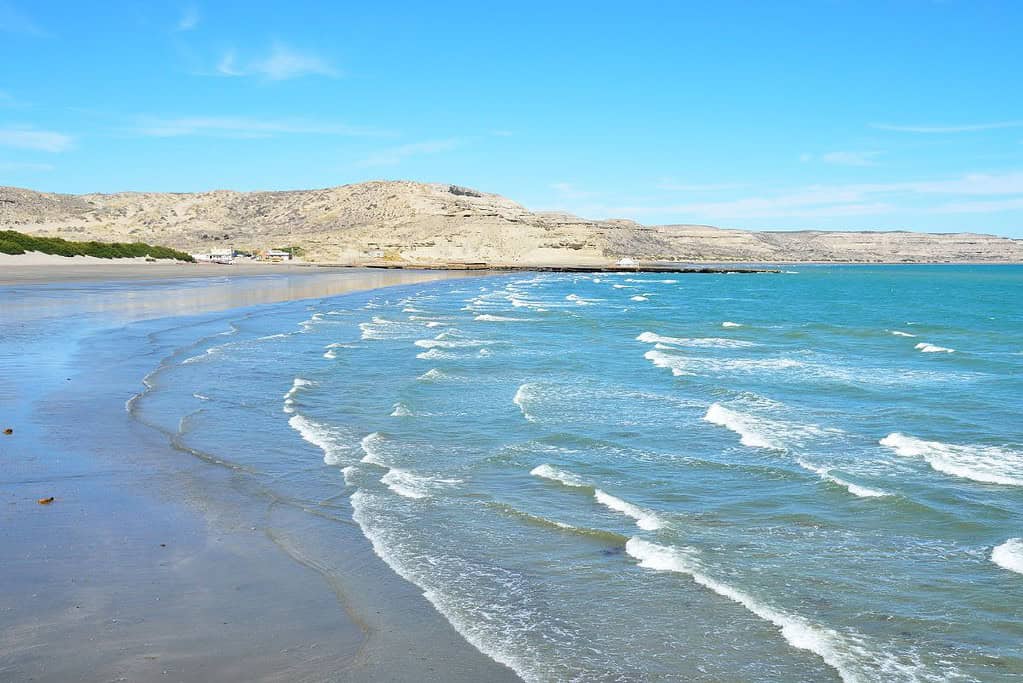 Valdes Peninsula 4 Attractions Valdés Peninsula