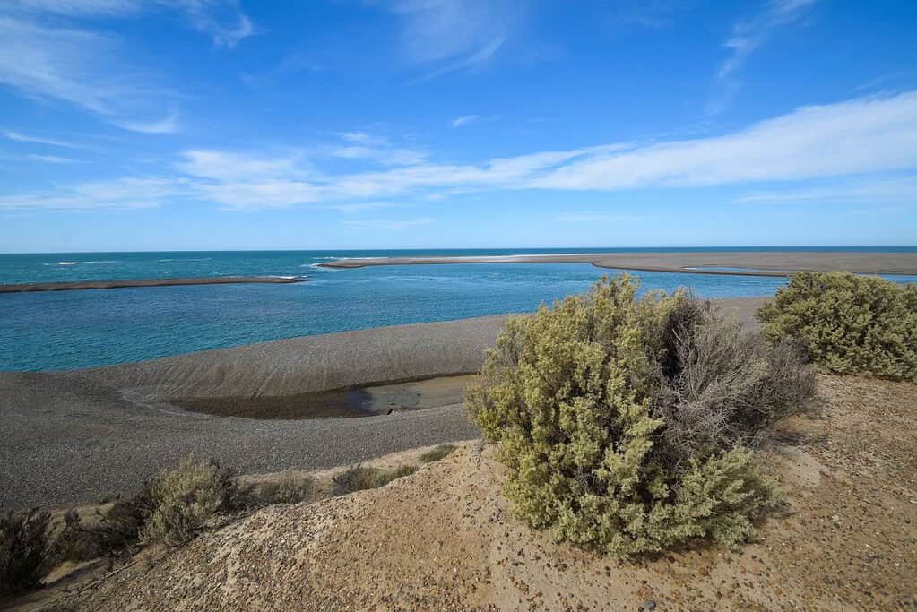 Valdes Peninsula 9 Attractions Valdés Peninsula