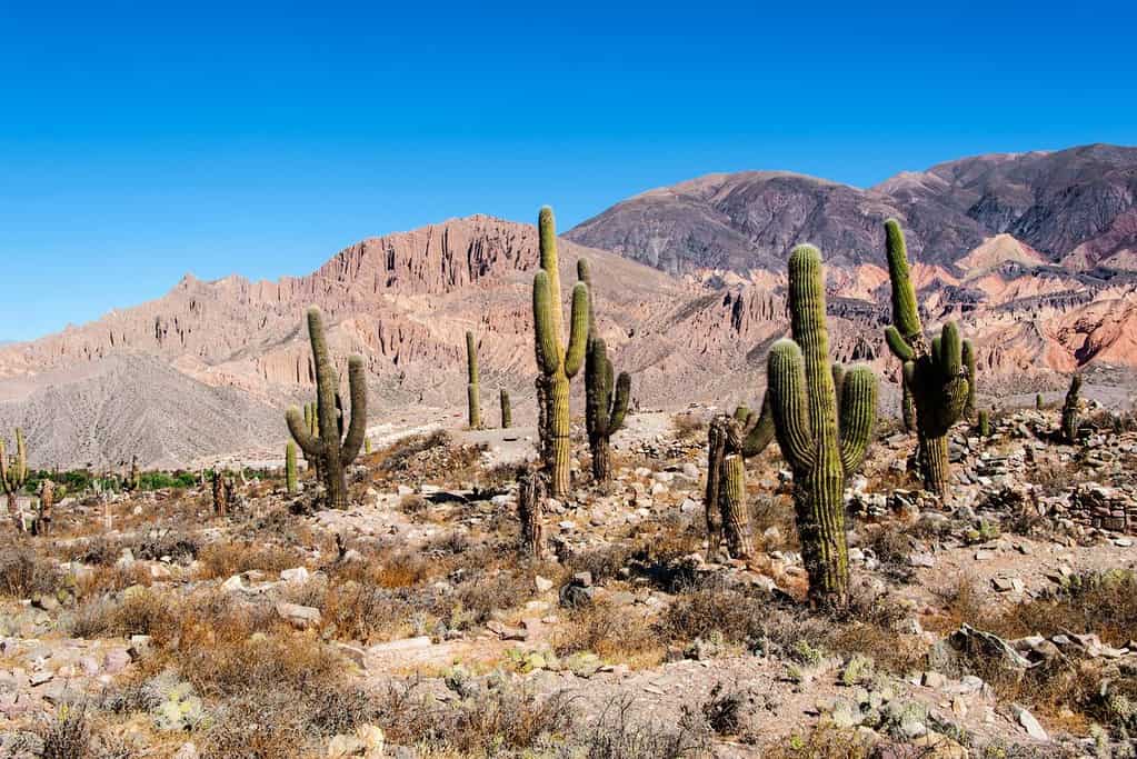 Visit Quebrada de Humahuaca Attractions Visit Quebrada de Humahuaca