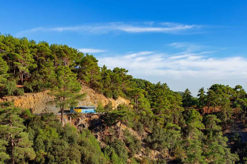 Yungas Road 7 Attractions Yungas Road