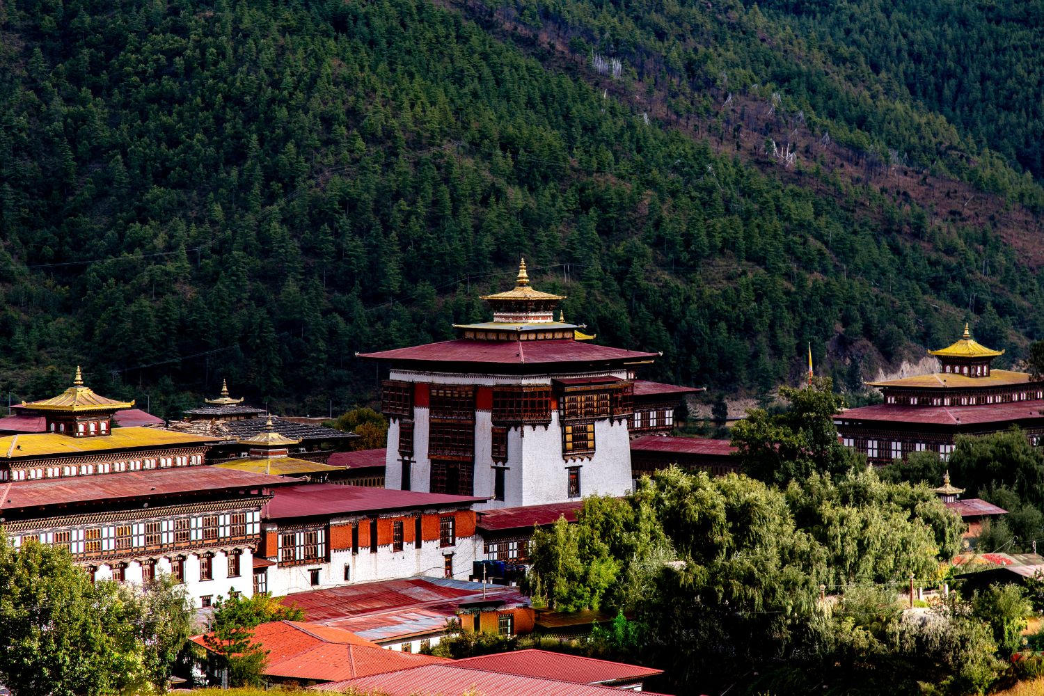 Bhutan Tour Guide Bhutan