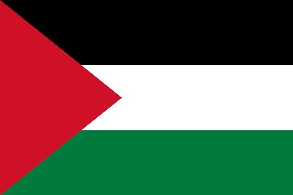 Flag of Palestine Flags Palestinian flag