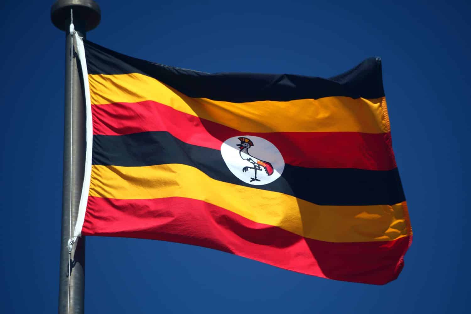 Flag of Uganda Flags Flag of Uganda