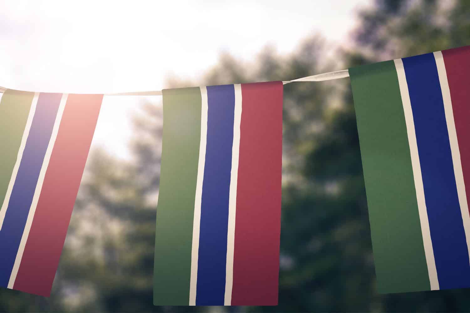 Gambia flag 2 Flags Gambia flag