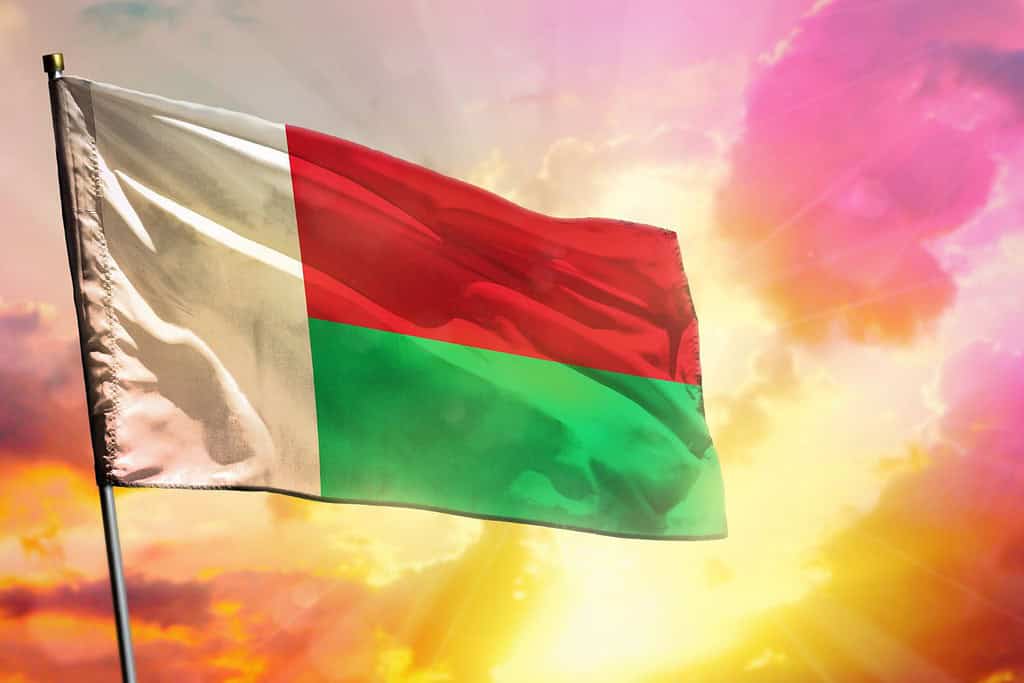 Flag Of Madagascar In 2025: Exploring The Rich Heritage