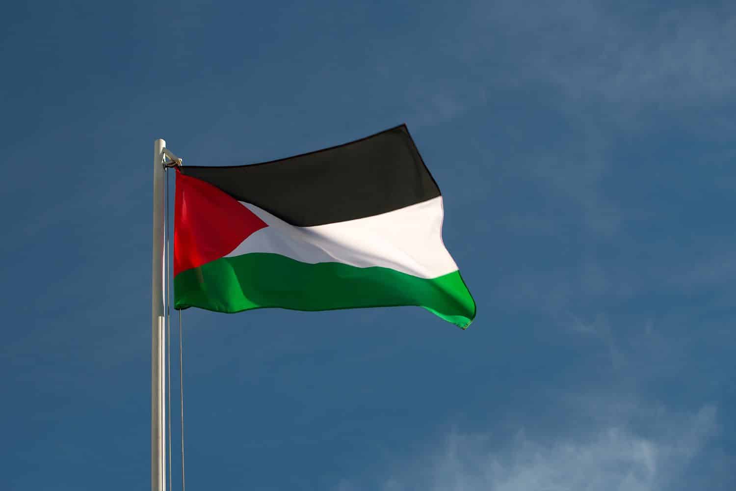 Palestine Flag Flags Flag of Palestine