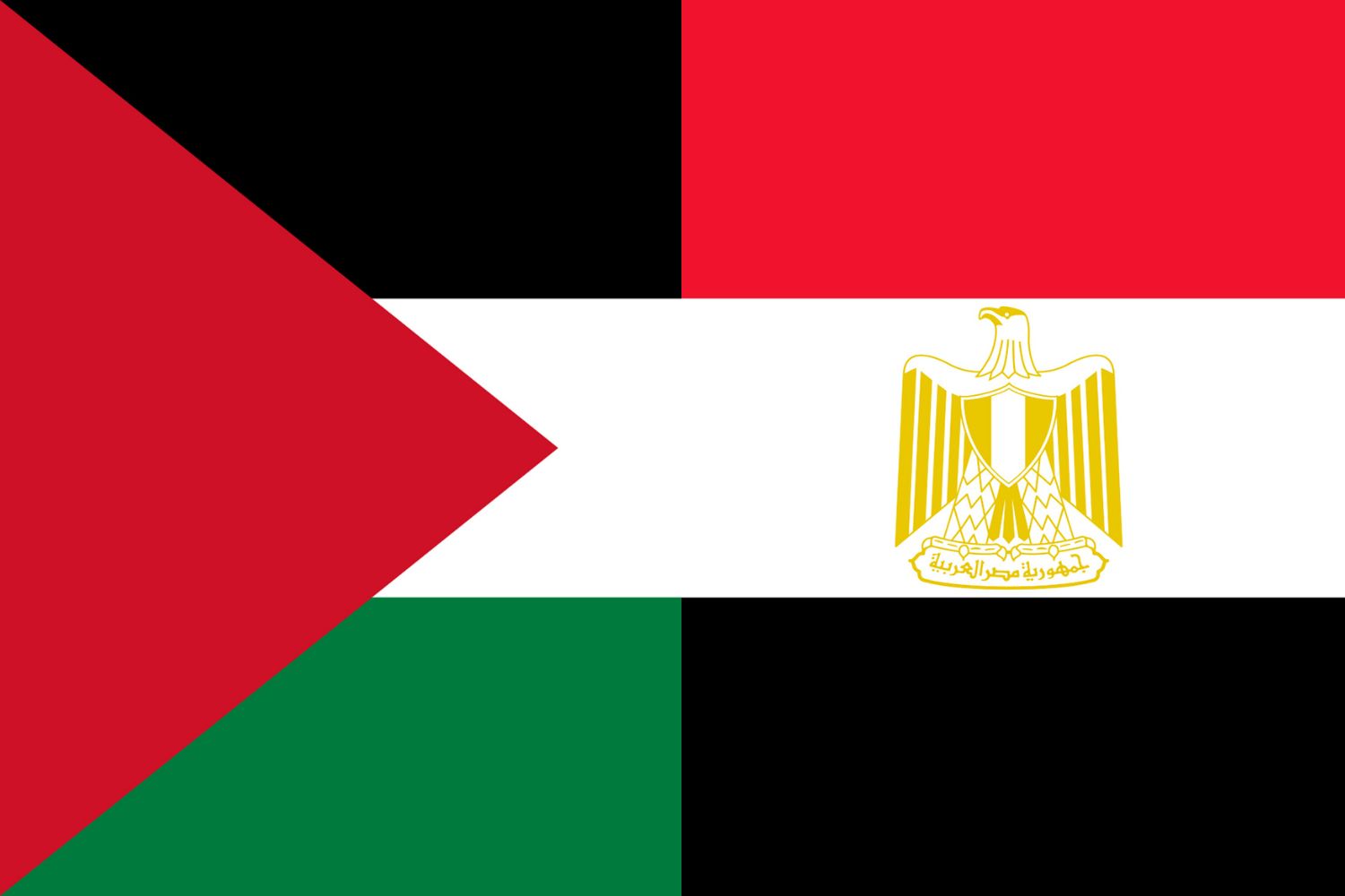 Palestinian Flag vs Egyptian Flag Flags Flag of Palestine Palestinian Flag vs Egyptian Flag