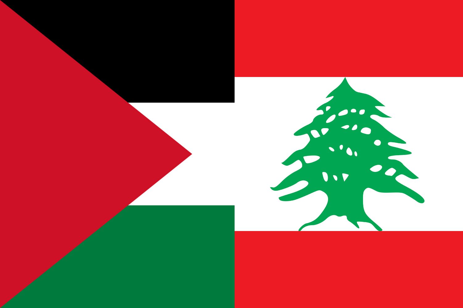 Palestinian Flag vs Lebanese Flag Flags Flag of Palestine Palestinian Flag vs Lebanese Flag