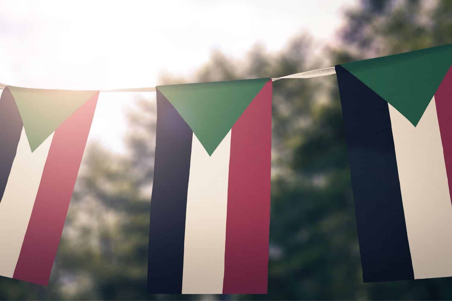 Sudanese flag Flags Sudan flag