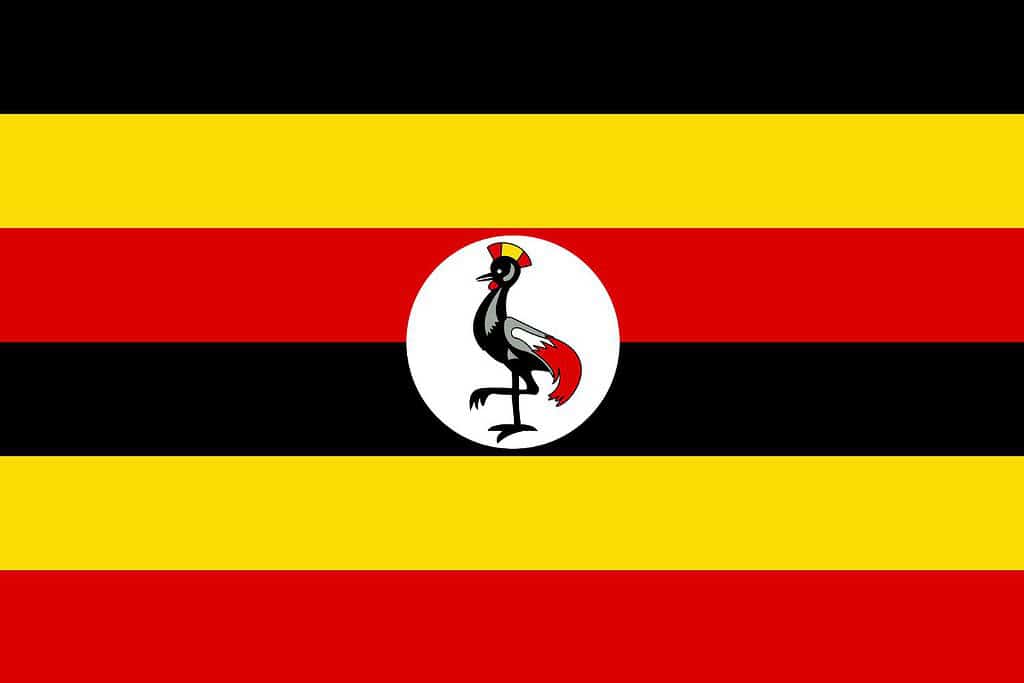 Ugandan flag Flags Ugandan flag