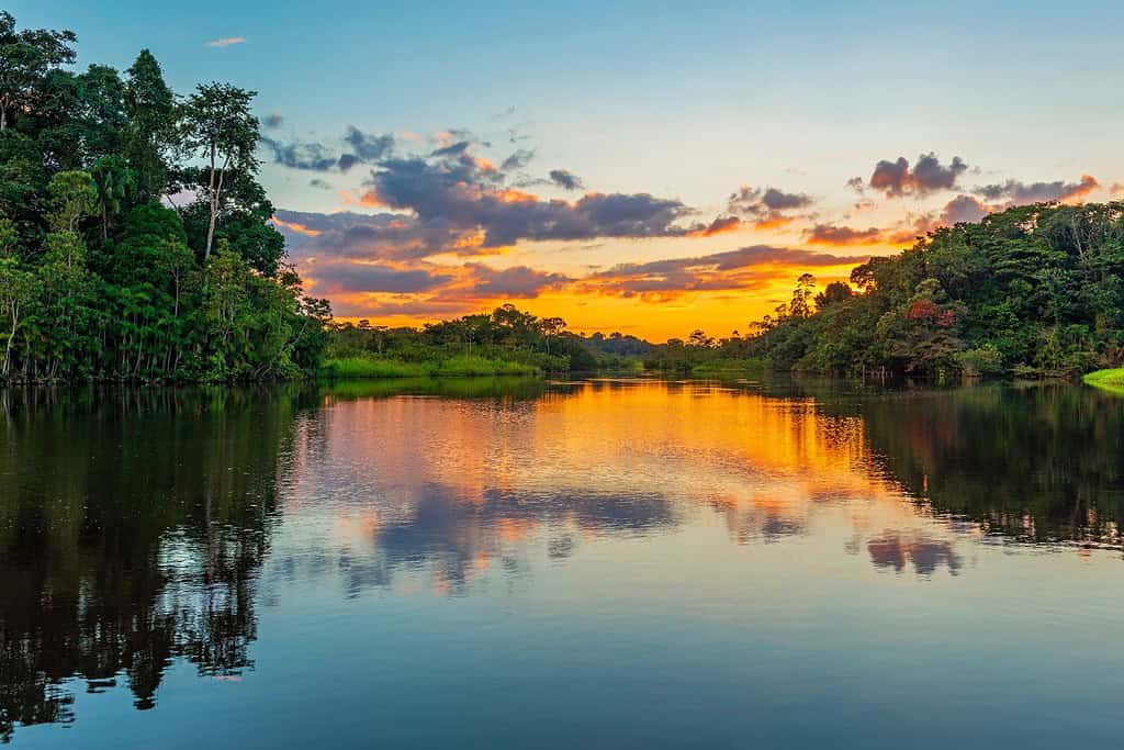Amazon Rainforest Travel Destinations, Americas Amazon Rainforest