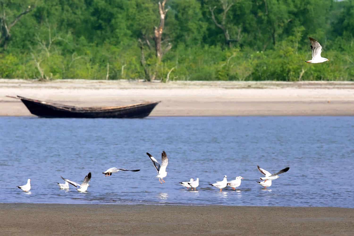 Bangladesh Geography Geography Geography of Bangladesh Bangladesh Geography
