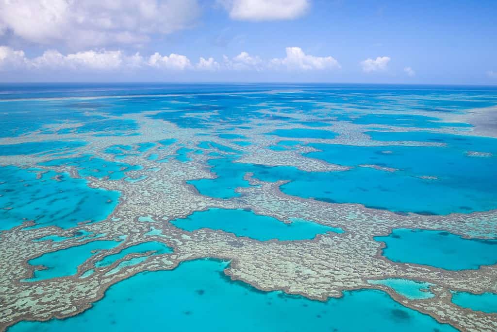 Barrier Reefof Orval Travel Destinations, Americas Barrier Reefof Orval