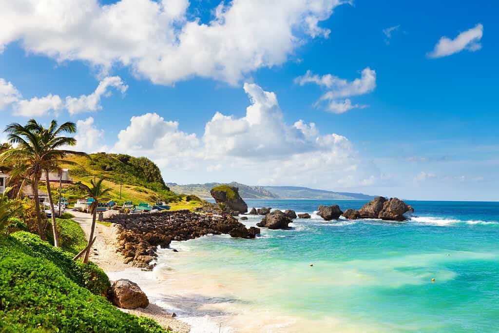 Bathsheba Travel Destinations, Americas Bathsheba