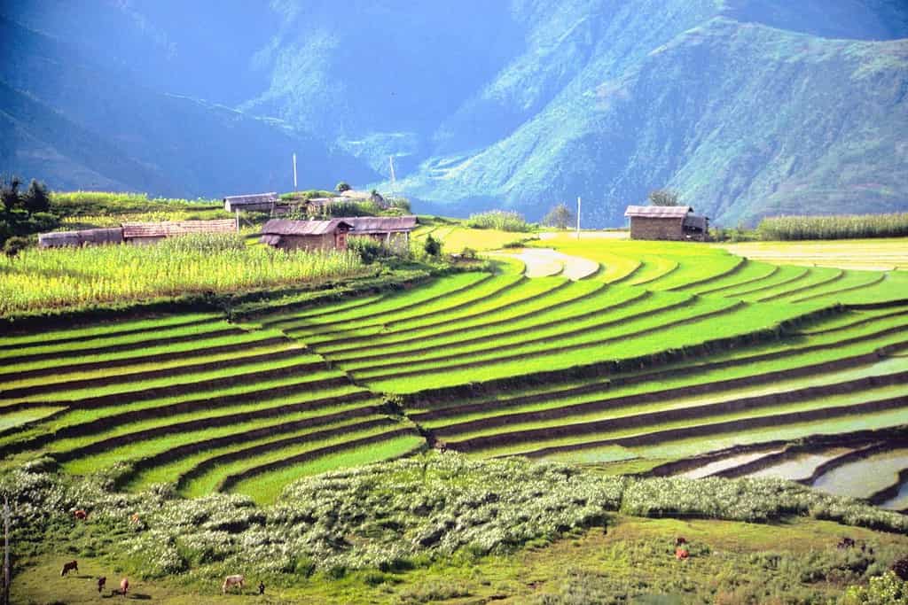Bhutan Bhutan, Geography Geography of Bhutan Bhutan