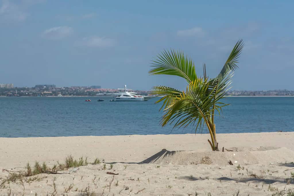 Blue Waters of Mussulo Travel Destinations, Africa Blue Waters of Mussulo