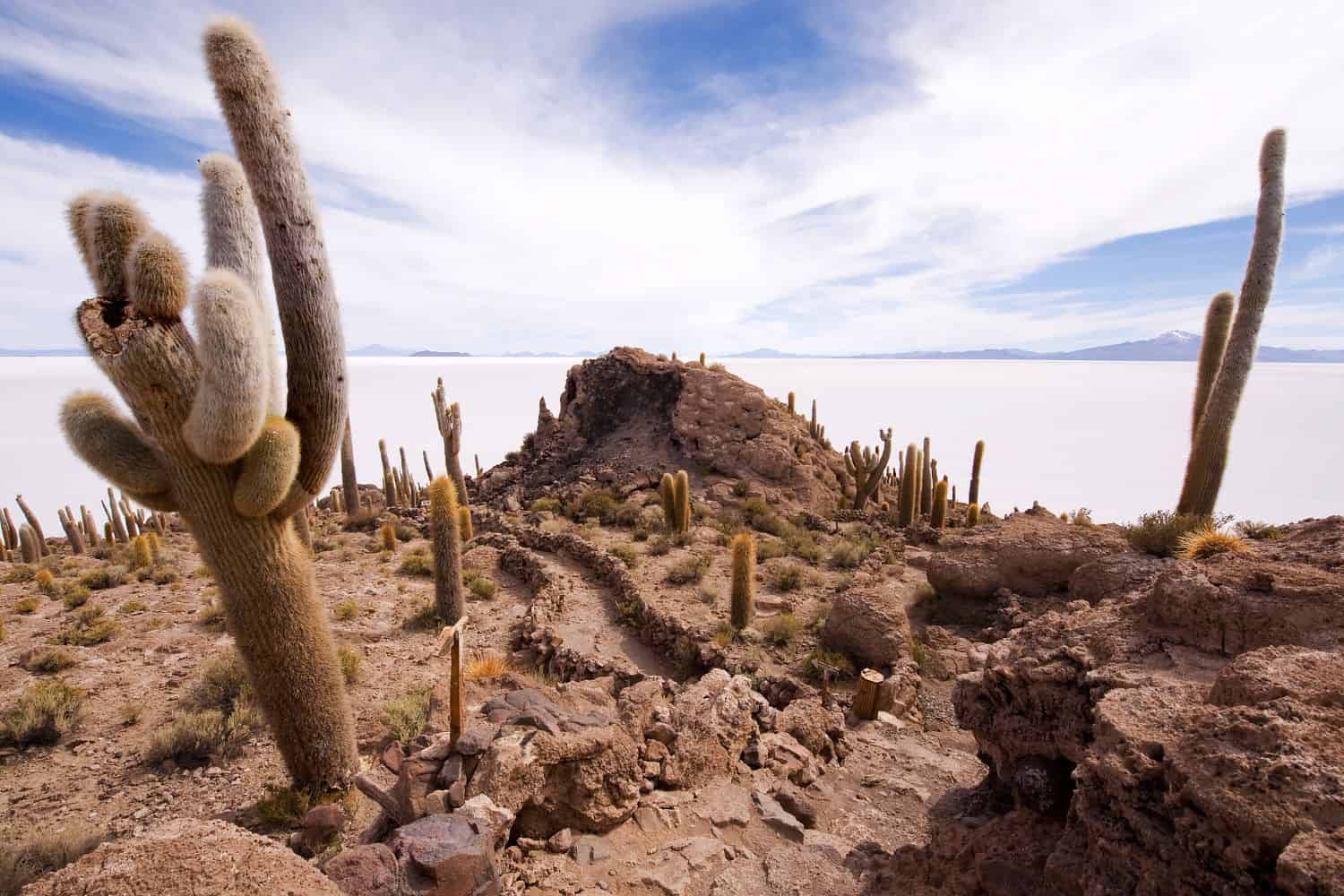 Bolivia Geography Geography of Bolivia Bolivia