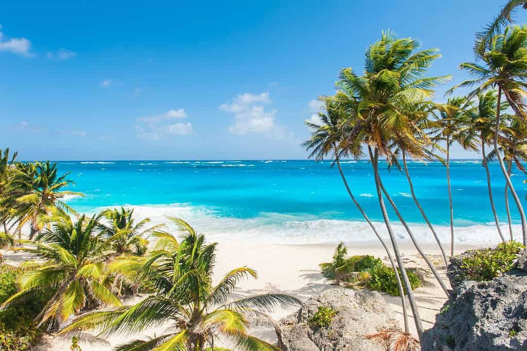 Bottom Bay Travel Destinations, Americas Bottom Bay