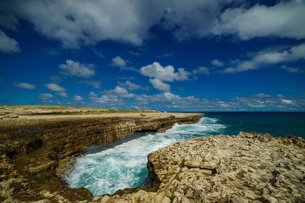 Devils Bridge Mangroves of Barbuda Travel Destinations, Americas Devil's Bridge, Mangroves of Barbuda