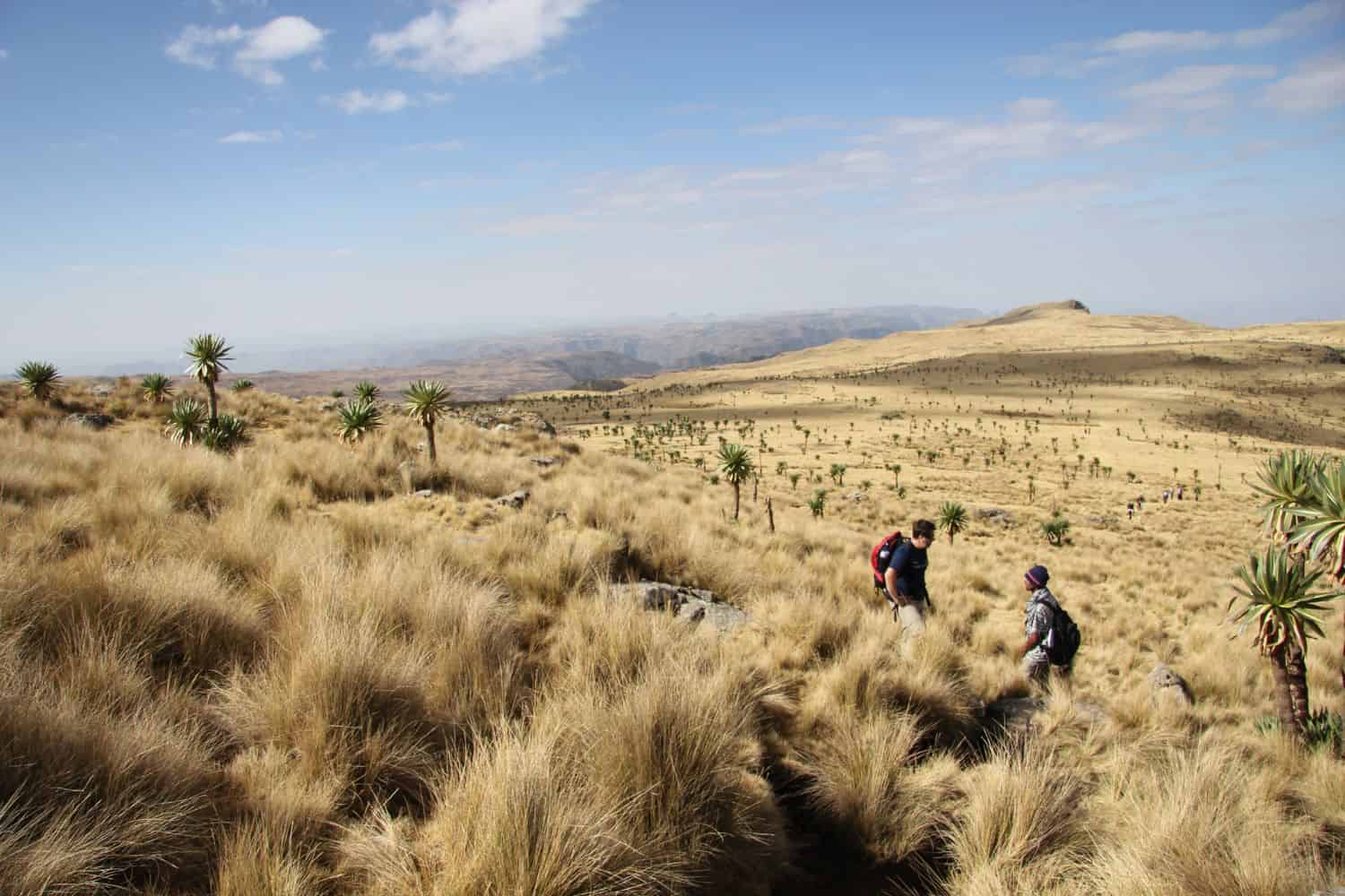 Ethiopia Geography Geography Ethiopia Geography