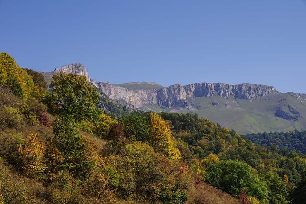 Forests of Dilijan Travel Destinations, South Europe Caucasus East Europe Forests of Dilijan