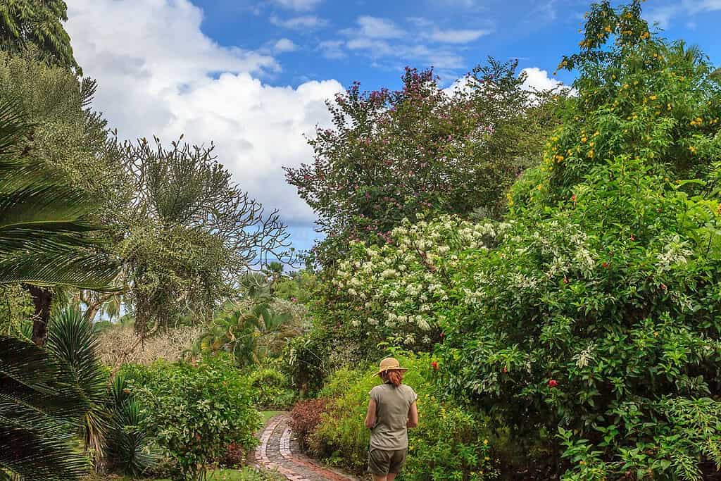 Gardens of Andromeda Botanic Gardens Travel Destinations, Americas Gardens of Andromeda Botanic Gardens