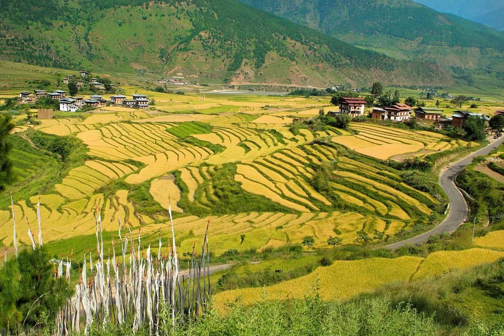 Geography of Bhutan Geography Geography of Bhutan Geography of Bhutan