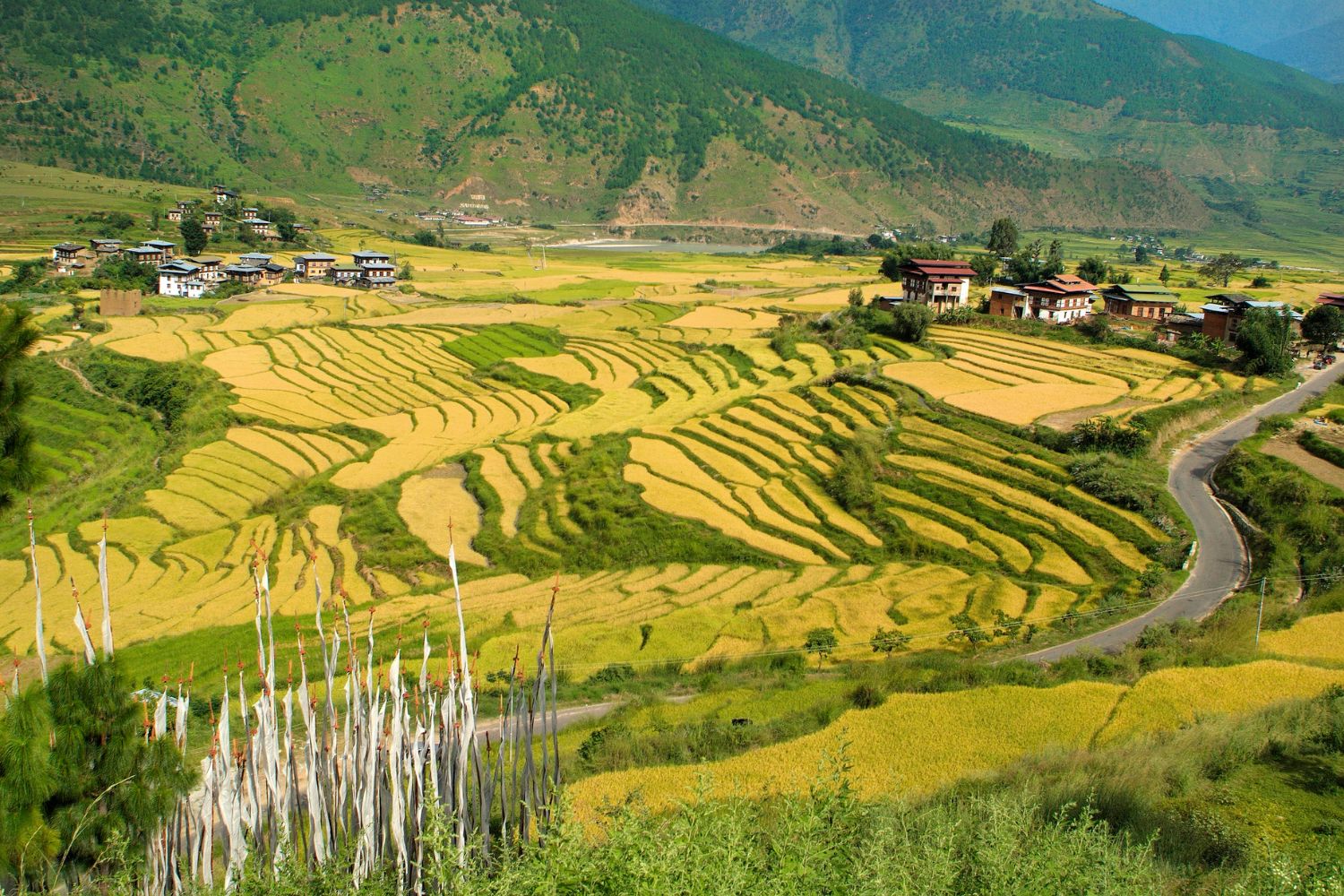 Food from Bhutan: Savor the Best of Bhutanese Cuisine Geography of Bhutan