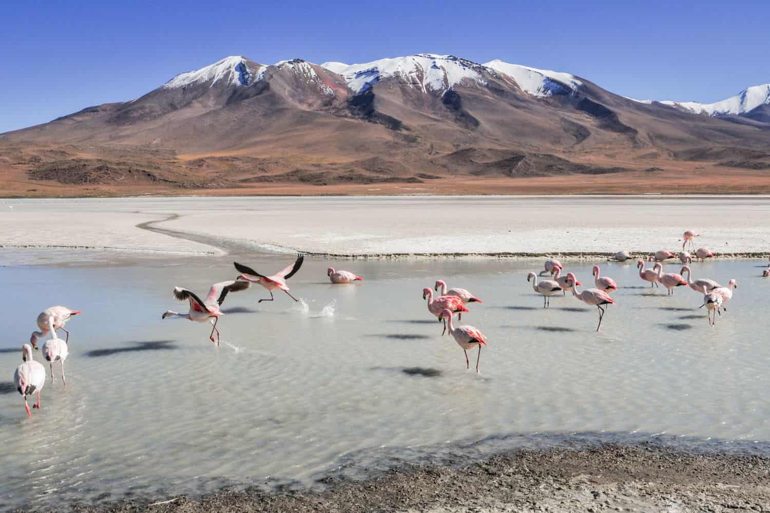 Geography of Bolivia 2 Geography Geography of Bolivia Geography of Bolivia 2