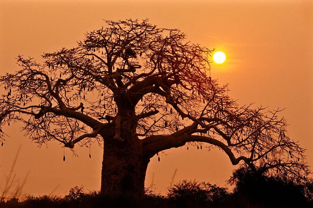 Iona National Park Travel Destinations, Africa Iona National Park