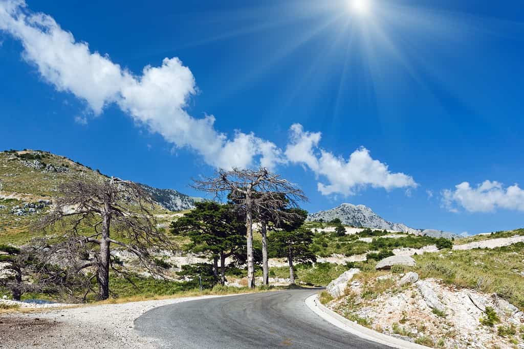Llogara Pass Travel Destinations, South Europe Caucasus East Europe Llogara Pass