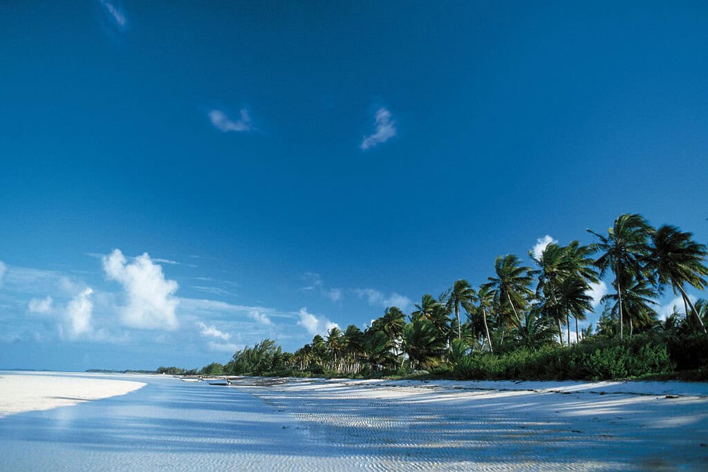 Mangroves of Andros Travel Destinations, Americas Mangroves of Andros