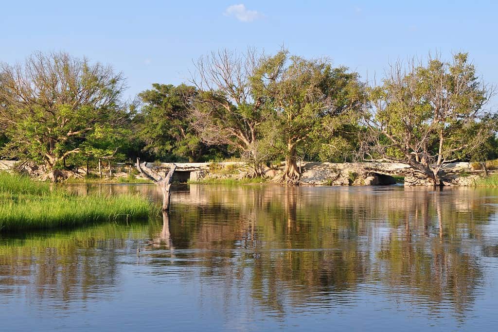 Mauns Thamalakane Riverfront Travel Destinations, Africa Maun's Thamalakane Riverfront