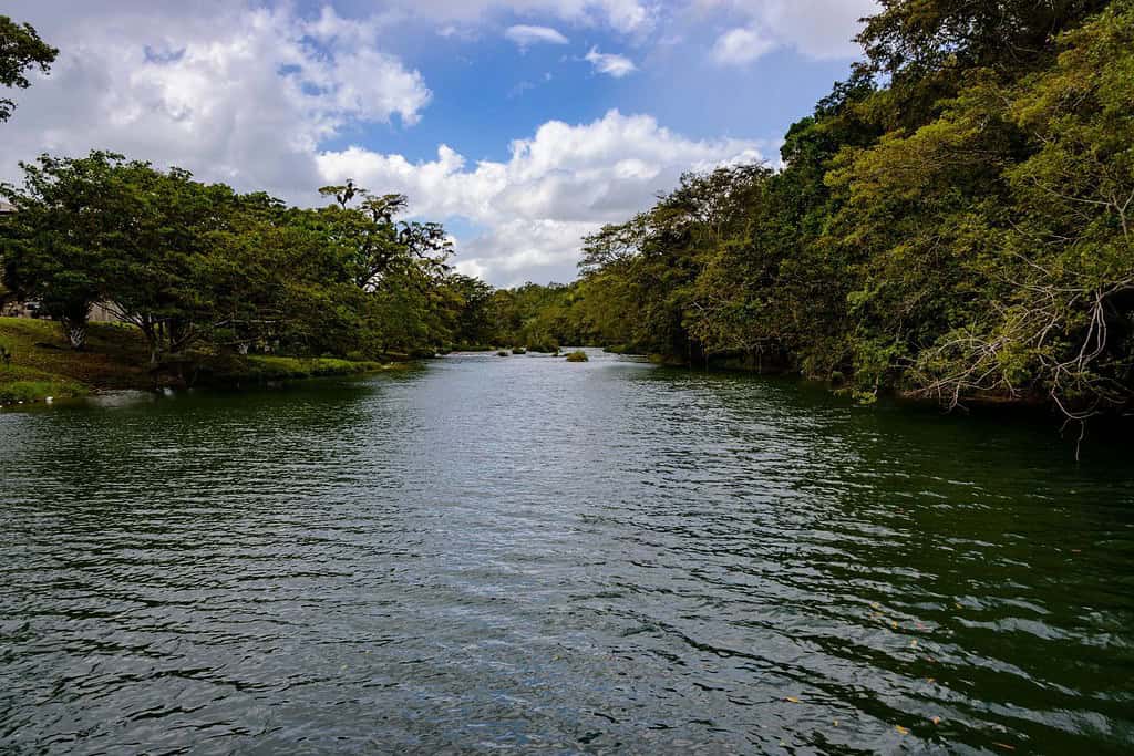 Mopan River Memorial Park Travel Destinations, Americas Mopan River Memorial Park