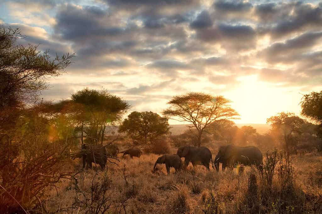 Tanzania Where Where is Tanzania located