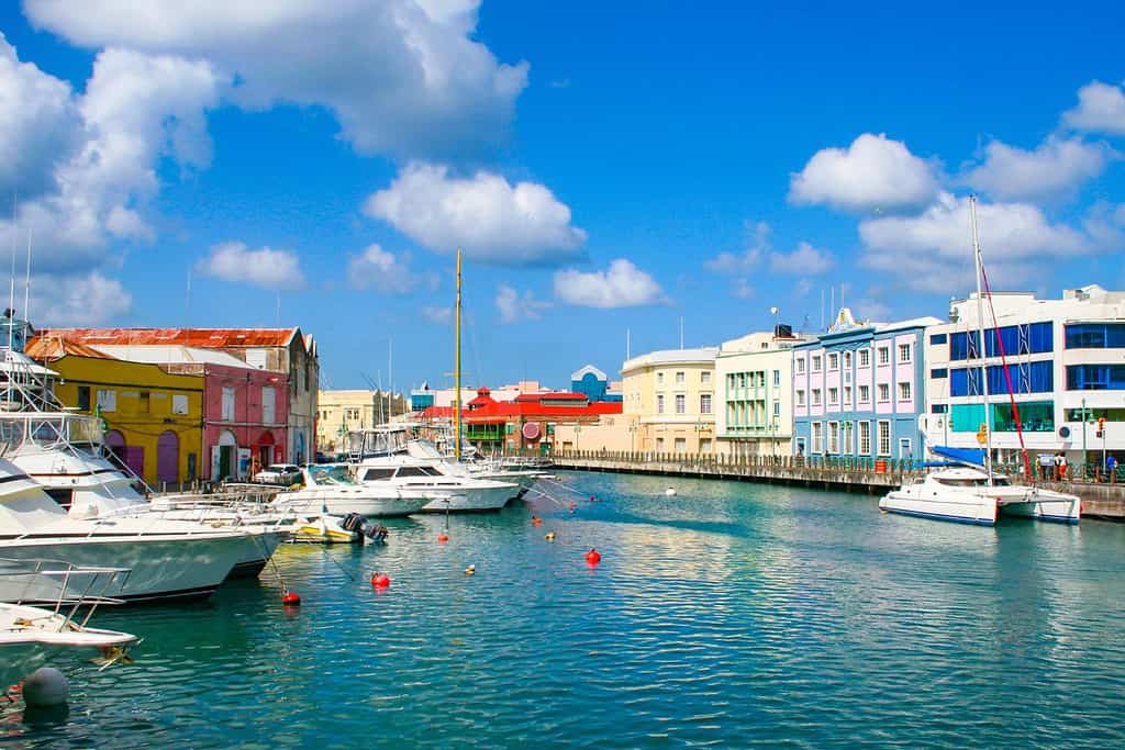 Tours in Barbados Americas Tours in Barbados